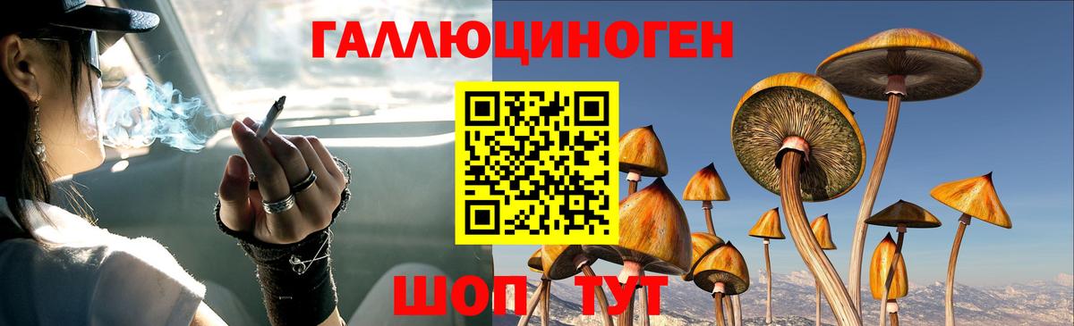 Галлюциногенные грибы ЛСД  Вход с VPN  Мыски 