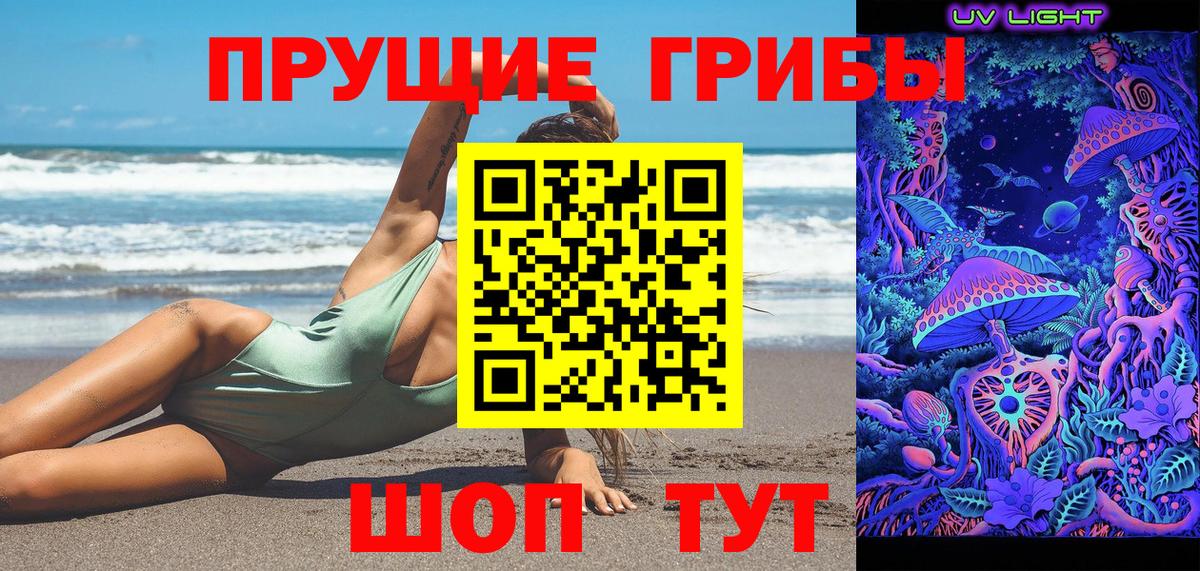 Псилоцибиновые грибы GOLDEN TEACHER Мыски